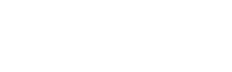 shukkaari group logo
